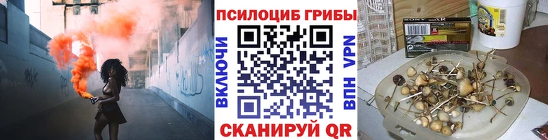 мориарти состав  Еманжелинск  Галлюциногенные грибы Cubensis 
